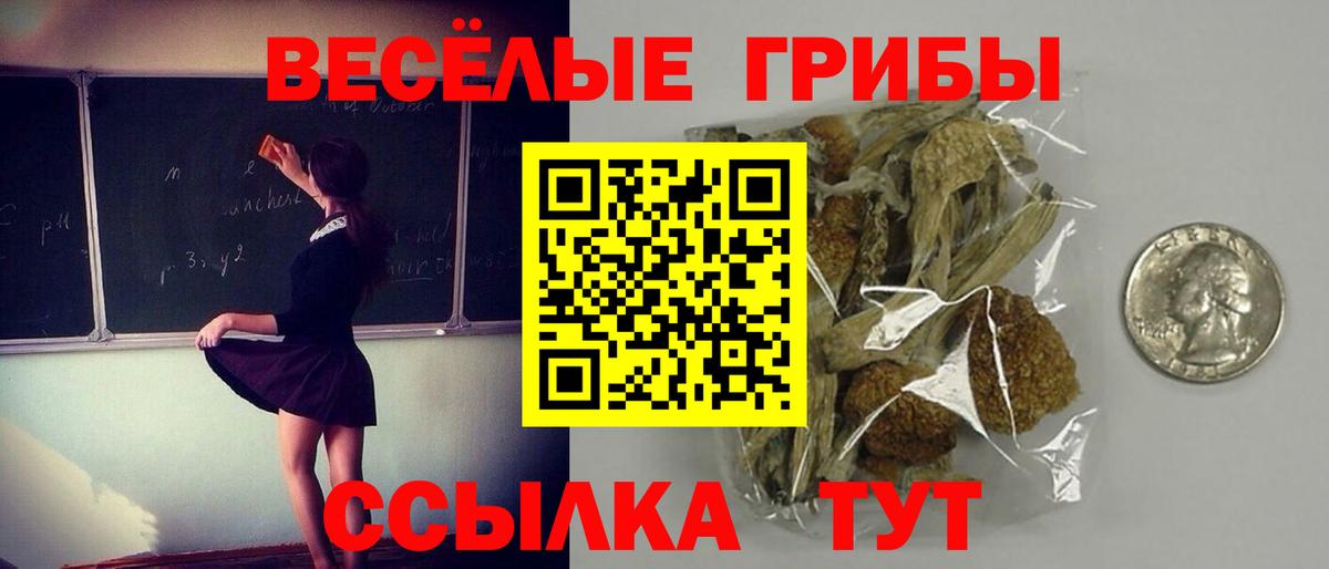 Дубна  Галлюциногенные грибы мухоморы  Псилоцибиновые грибы ЛСД  Вход с VPN 